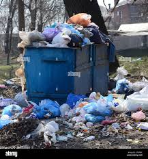 Best Dumpster Rental Services  in Charlotte Harbor, FL